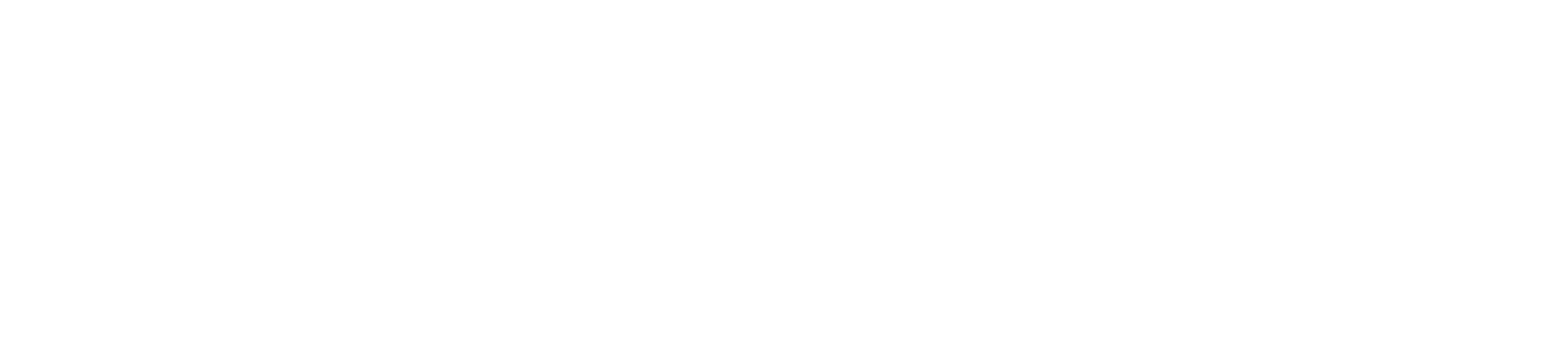 Quick Shot Paddles